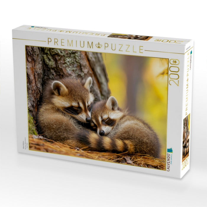 Waschbären - CALVENDO Foto-Puzzle'