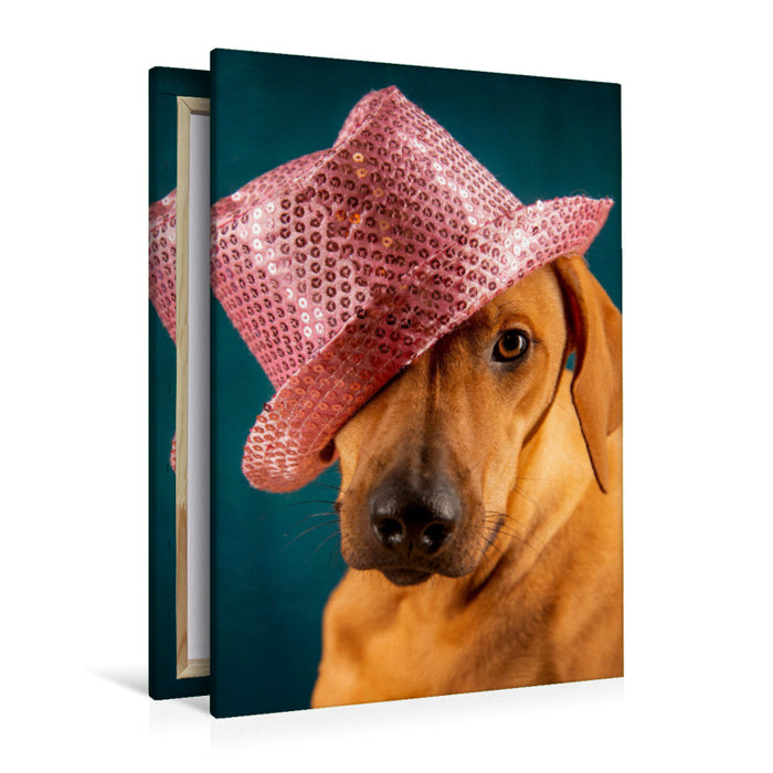 Premium Textil-Leinwand Alaaf