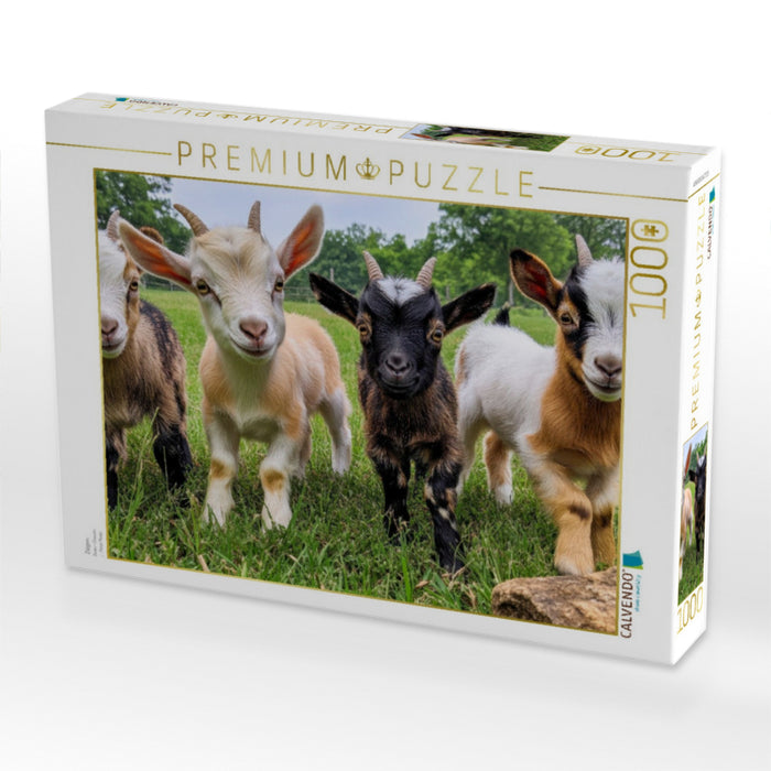 Ziegen - CALVENDO Foto-Puzzle'