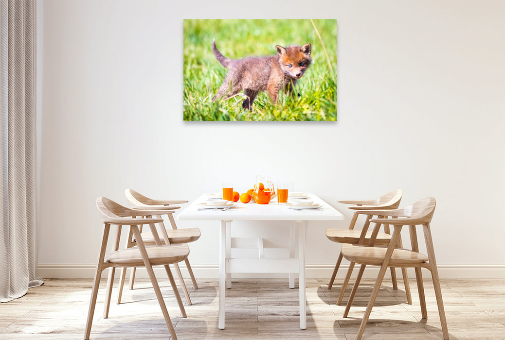 Premium Textil-Leinwand Fuchswelpe auf Erkundungstour