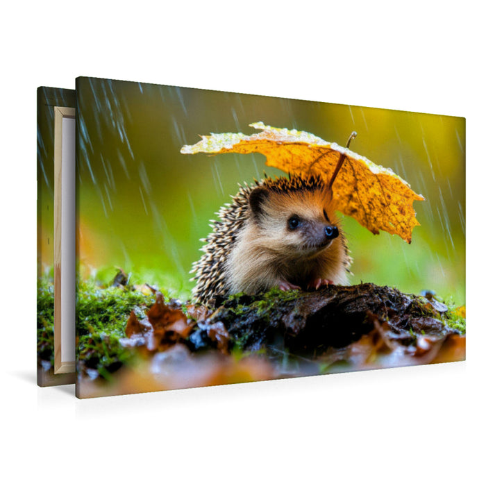 Premium Textil-Leinwand Igel
