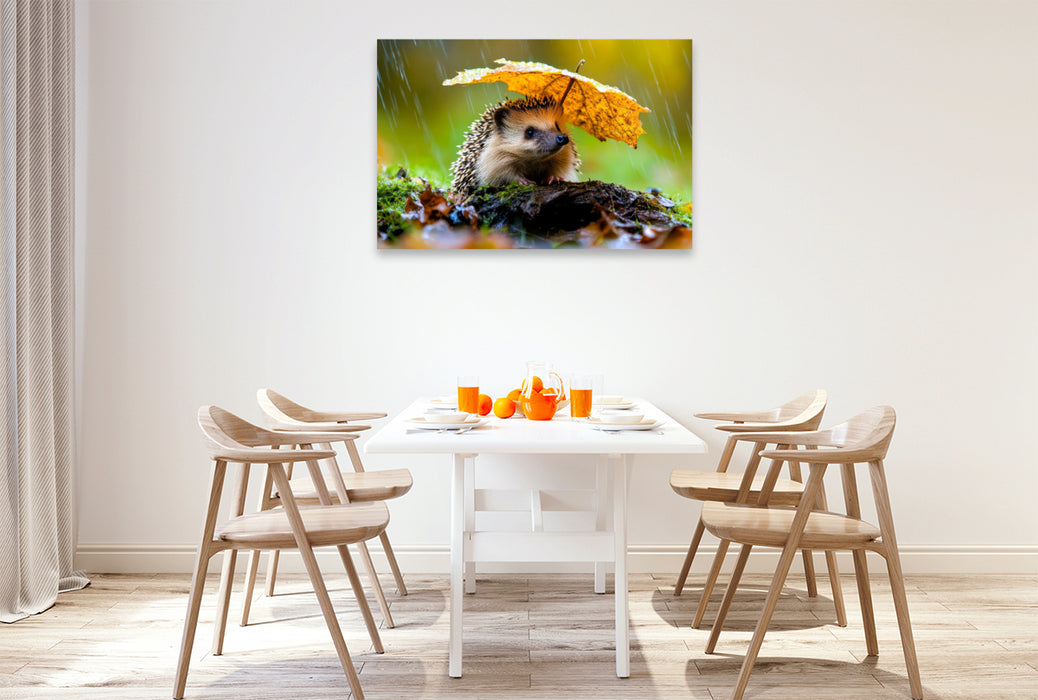 Premium Textil-Leinwand Igel
