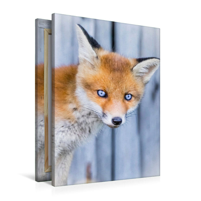 Premium Textil-Leinwand Fuchswelpen Portrait