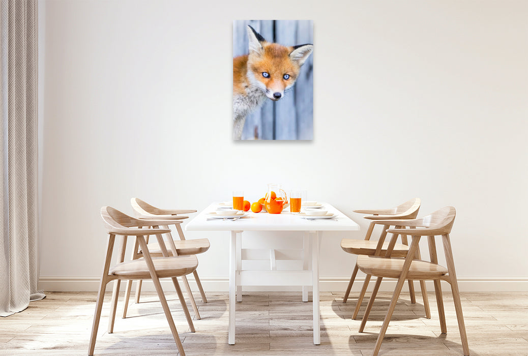 Premium Textil-Leinwand Fuchswelpen Portrait