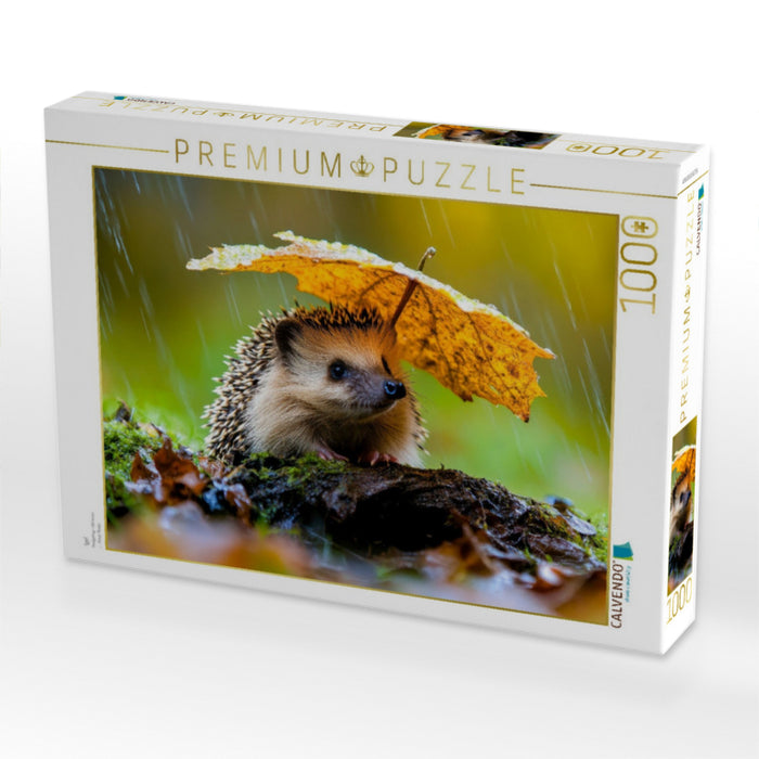 Igel - CALVENDO Foto-Puzzle'