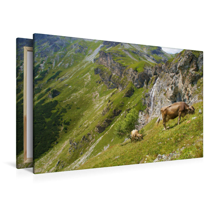 Premium Textil-Leinwand Zwei Kühe grasen mitten in den Alpen