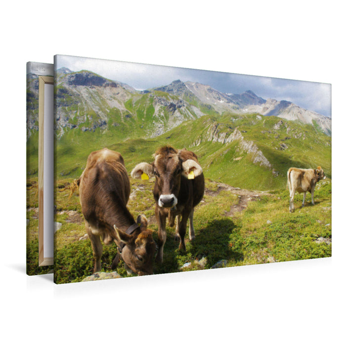 Premium Textil-Leinwand Bergkühe vor traumhaftem Alpenparorama