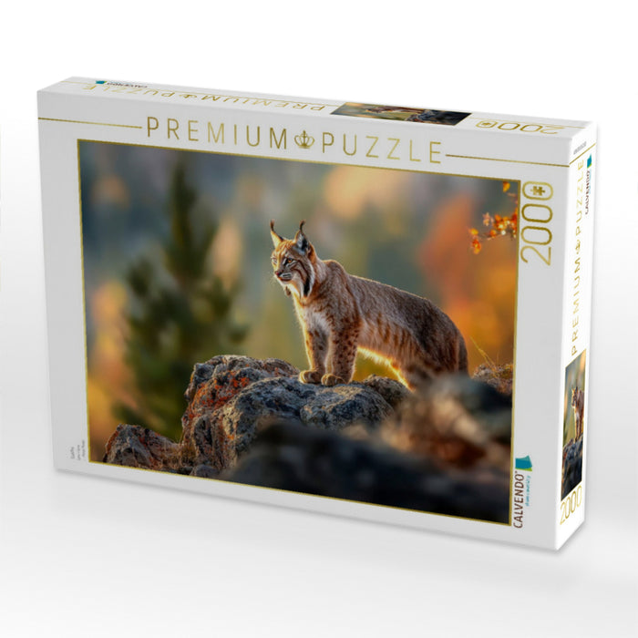 Luchs - CALVENDO Foto-Puzzle'