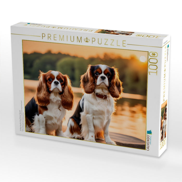 Goldige Kavalier King Charles Spaniel - CALVENDO Foto-Puzzle'