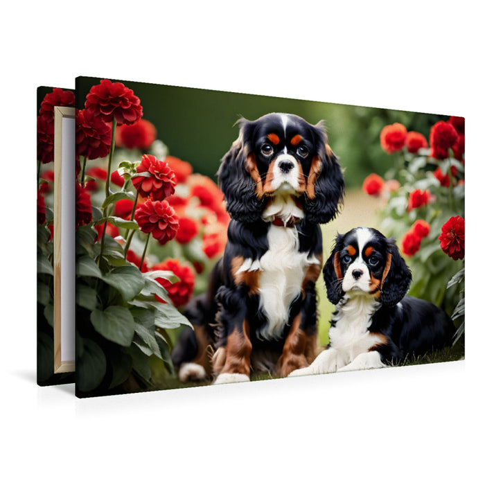Premium Textil-Leinwand Goldige Kavalier King Charles Spaniel