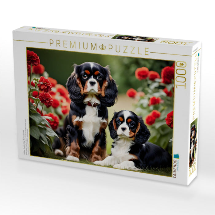 Goldige Kavalier King Charles Spaniel - CALVENDO Foto-Puzzle'