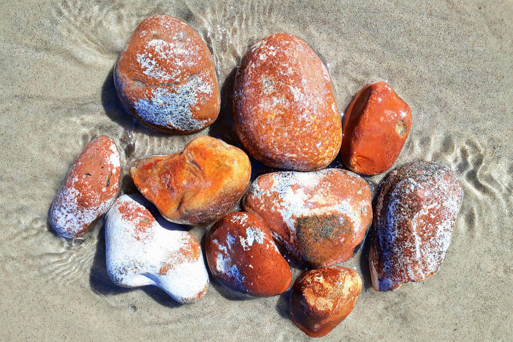 Premium Textil-Leinwand Natürliche Harmonie für Ihr Zuhause