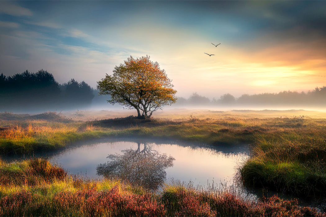 Premium Textil-Leinwand Moor in Niedersachsen