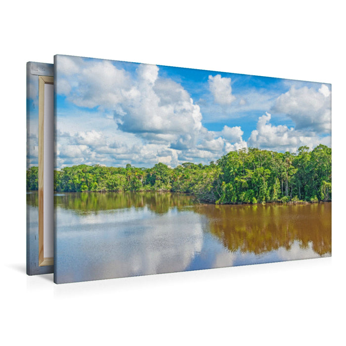 Premium Textil-Leinwand Amazonas, der wassereichste Fluss der Erde