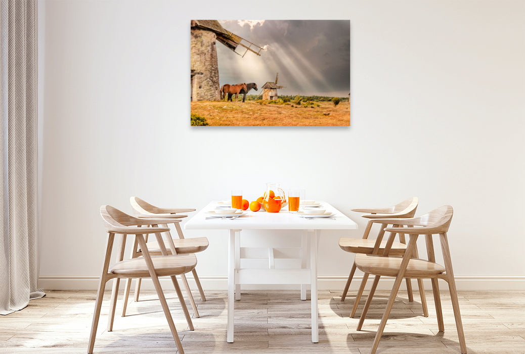 Premium Textil-Leinwand Pferde vor alter Windmühle in Gotland Schweden