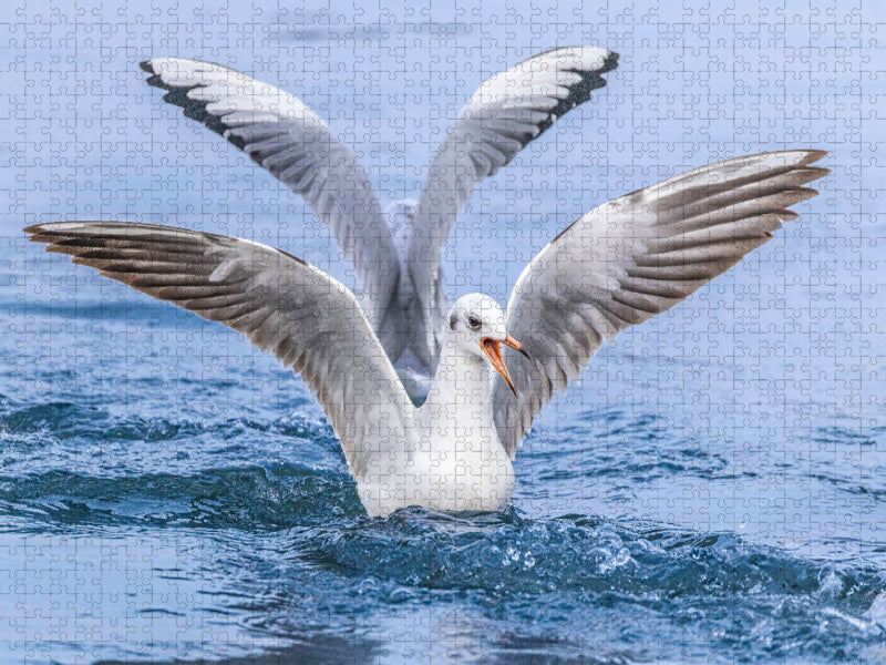 Perfekte Landung – Eleganz auf dem Wasser! - CALVENDO Foto-Puzzle'