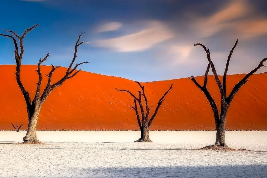 Premium Textil-Leinwand Das Deadvlei -Teil des Namibia-Naukluft-Nationalparks
