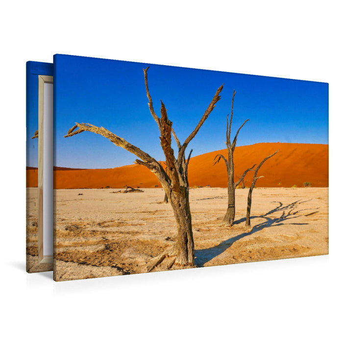 Premium Textil-Leinwand Kameldornbaum Dead Vlei Namibia
