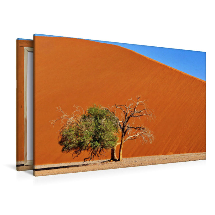 Premium Textil-Leinwand Düne 45 Namibia