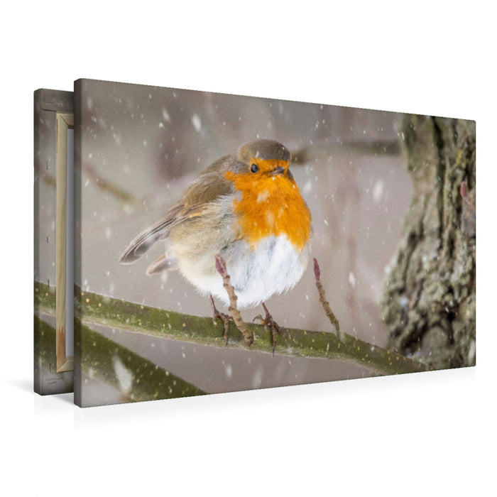 Premium Textil-Leinwand Der erste Schnee