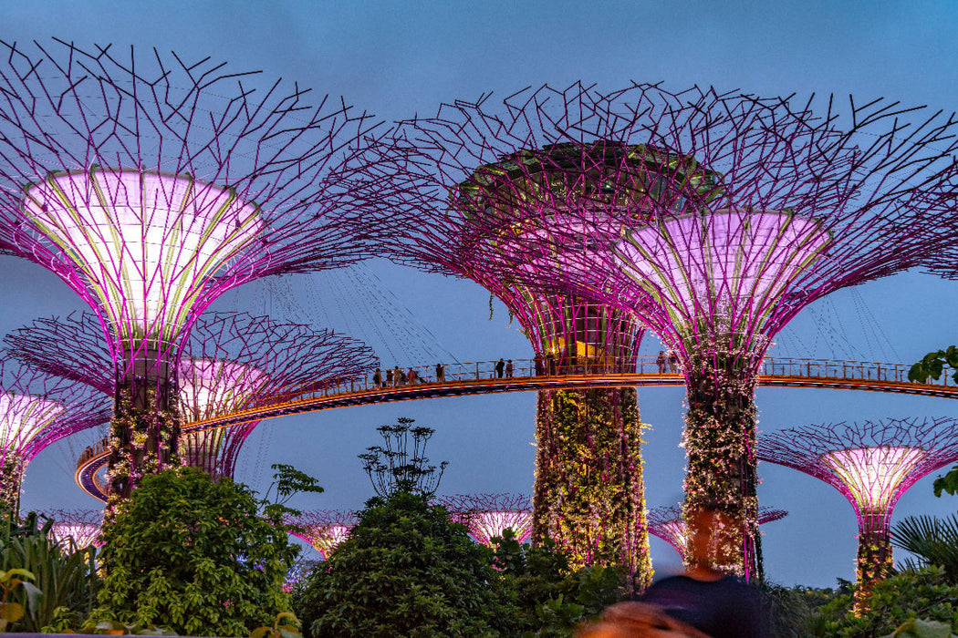 Premium Textil-Leinwand Singapur Super Trees