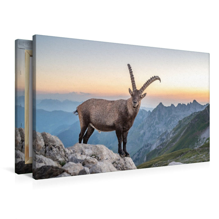 Premium Textil-Leinwand Der König und sein Königreich