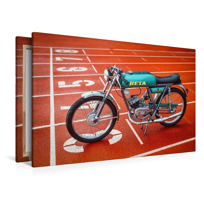 Premium Textil-Leinwand Beta Camoscio 48