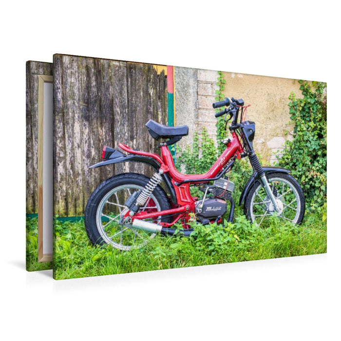 Premium Textil-Leinwand Malaguti Fifty