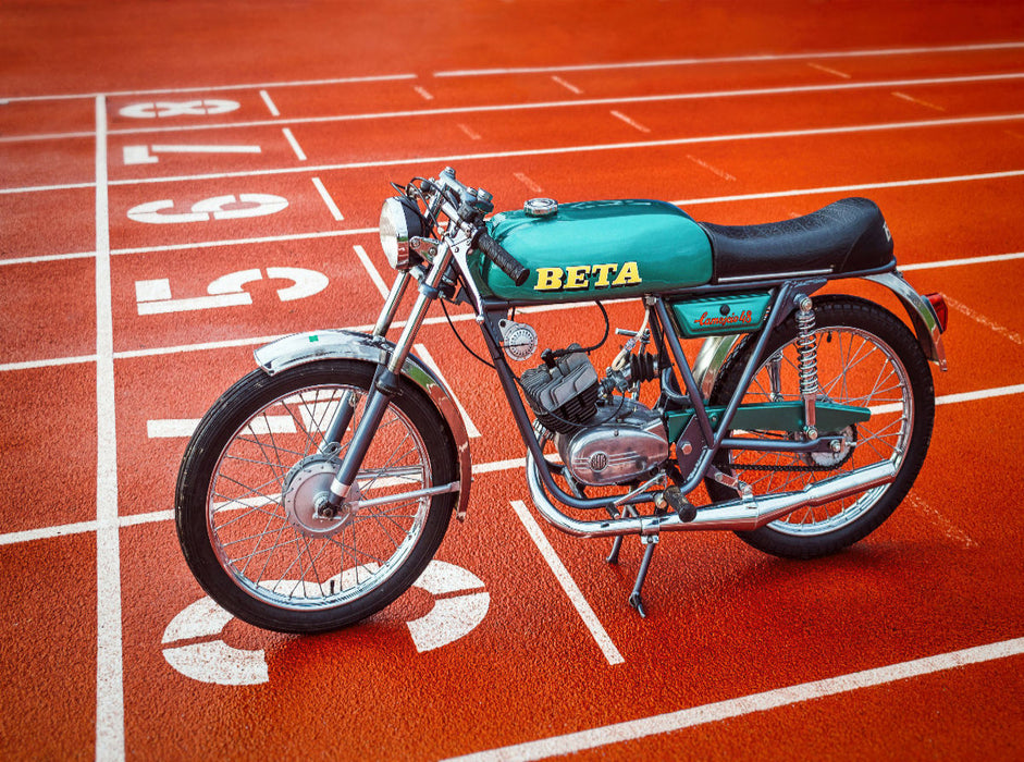 Beta Camoscio 48 - CALVENDO Foto-Puzzle'