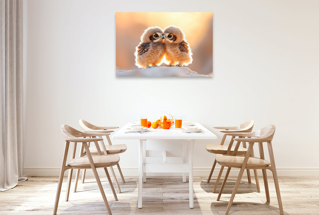 Premium Textil-Leinwand Ein Motiv aus dem Kalender Geheimnisvolle Wildnis