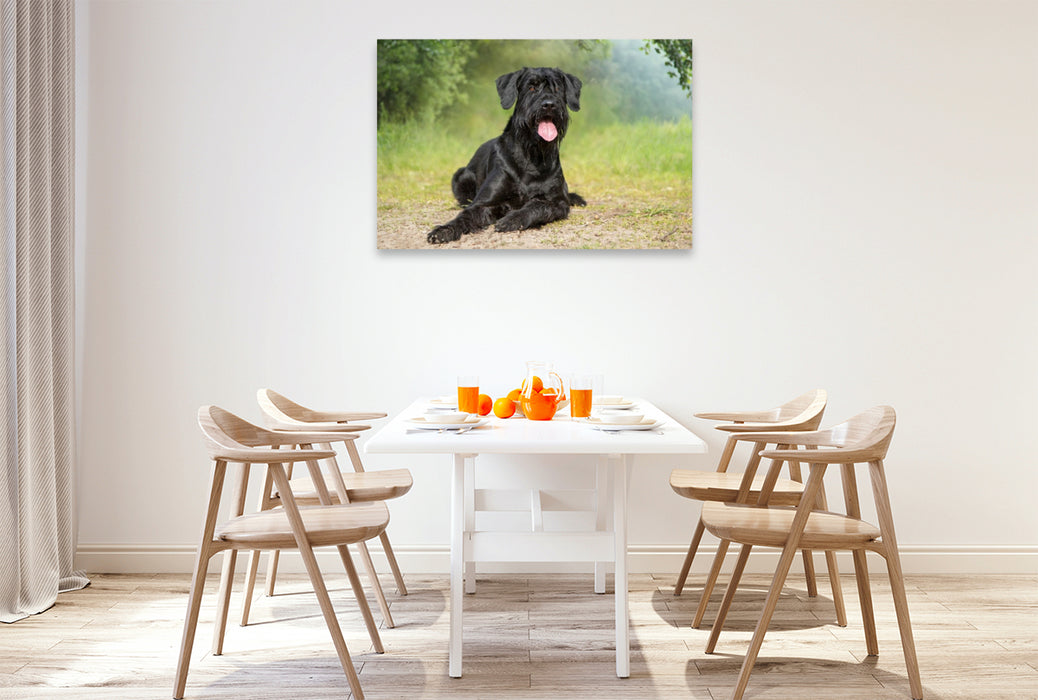 Premium Textil-Leinwand Ein Motiv aus dem Kalender Riesenschnauzer - Treue Partner