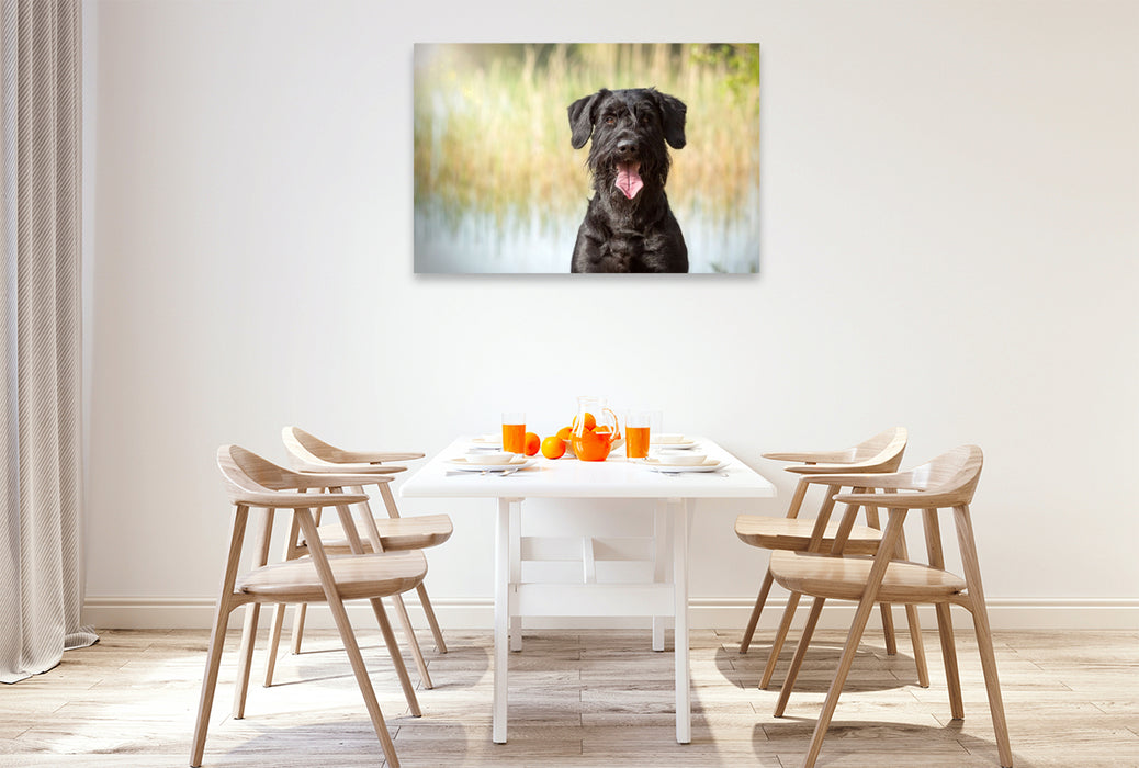 Premium Textil-Leinwand Ein Motiv aus dem Kalender Riesenschnauzer - Treue Partner