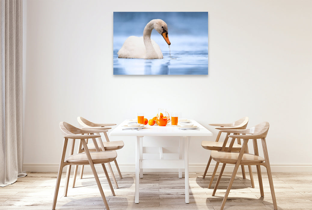 Premium Textil-Leinwand Trinkender Schwan