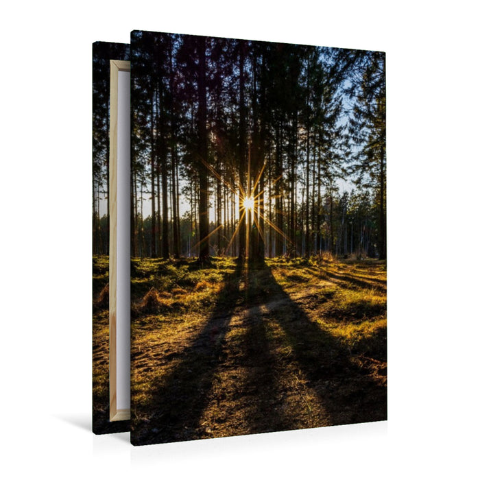 Premium Textil-Leinwand Kreistannen