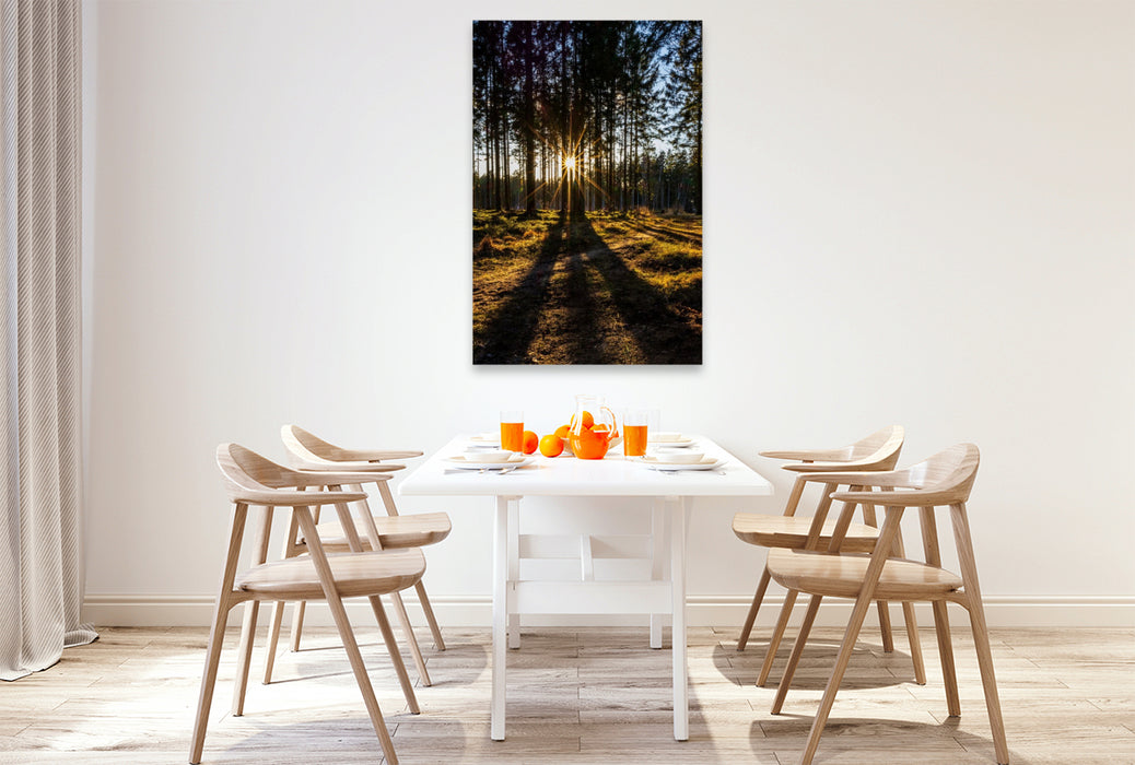 Premium Textil-Leinwand Kreistannen