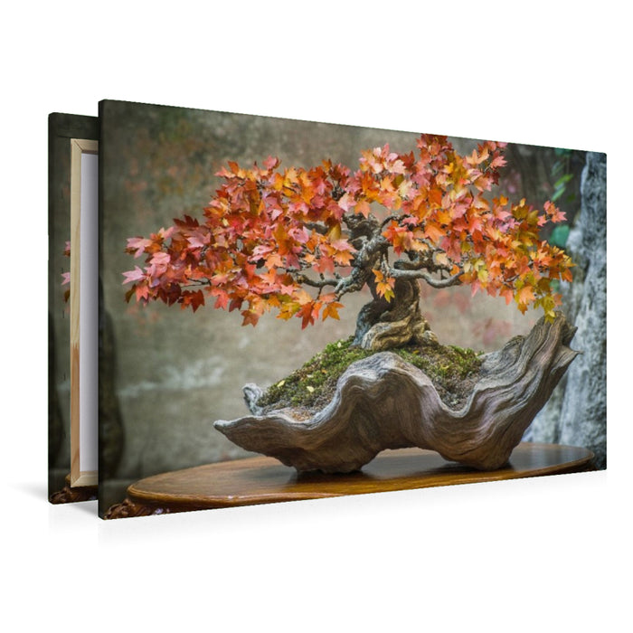 Premium Textil-Leinwand Bonsai – Die Seele der Natur