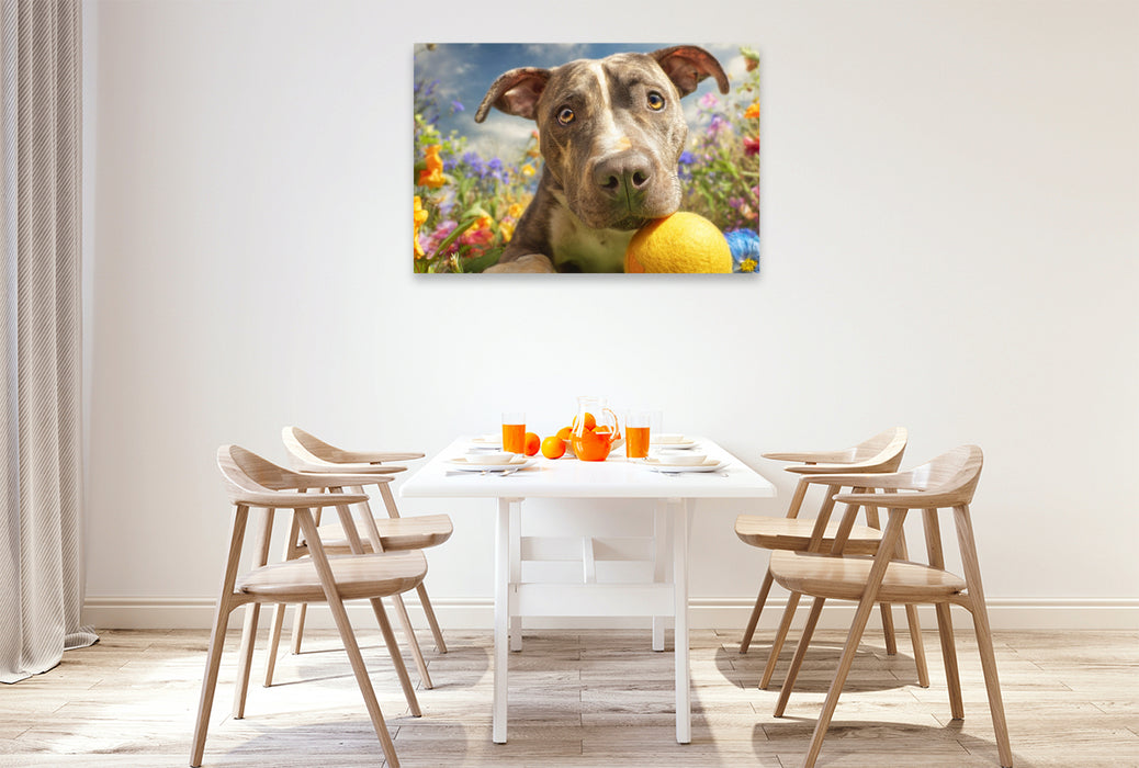 Premium Textil-Leinwand Pit Bull mit Ball