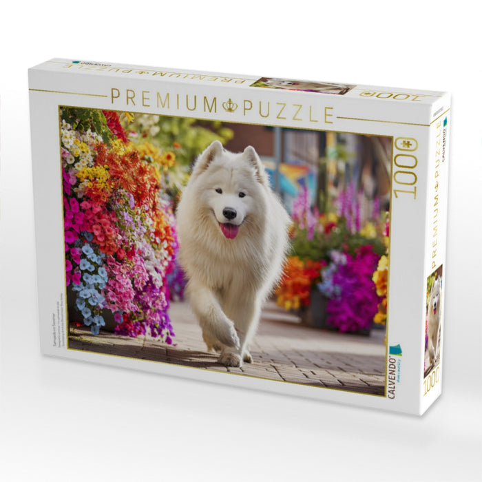 Samojede im Sommer - CALVENDO Foto-Puzzle'