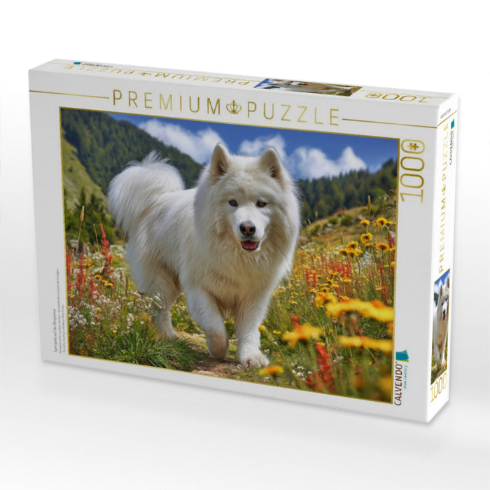 Samojede auf der Bergwiese - CALVENDO Foto-Puzzle'