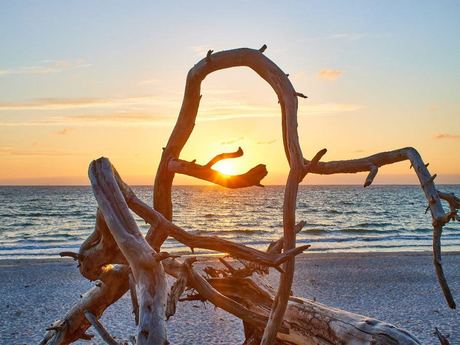 Baumliebe am Weststrand Fischland-Darss-Zingst - CALVENDO Foto-Puzzle'