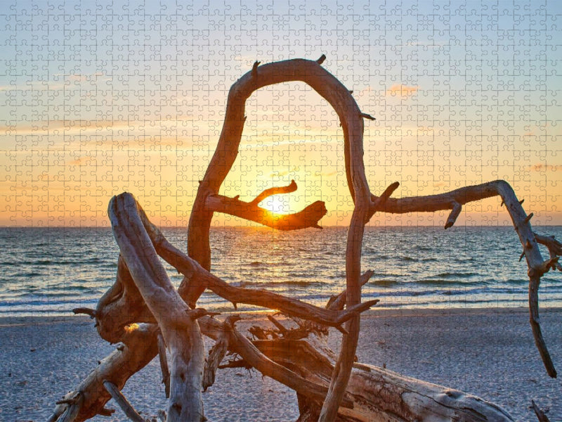 Baumliebe am Weststrand Fischland-Darss-Zingst - CALVENDO Foto-Puzzle'