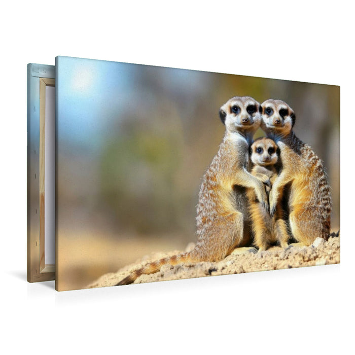 Premium Textil-Leinwand Ein wunderschönes Familienfoto