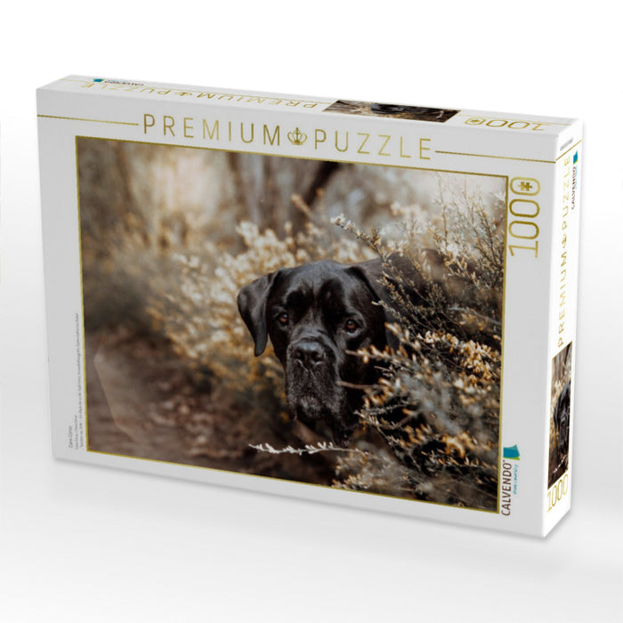 Cane Corso - CALVENDO Foto-Puzzle'