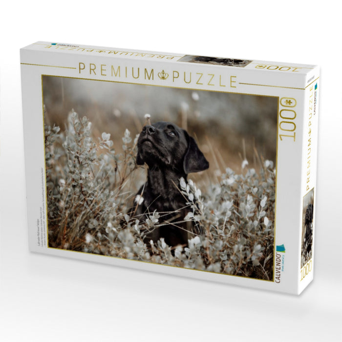 Labrador Retriever Welpe - CALVENDO Foto-Puzzle'
