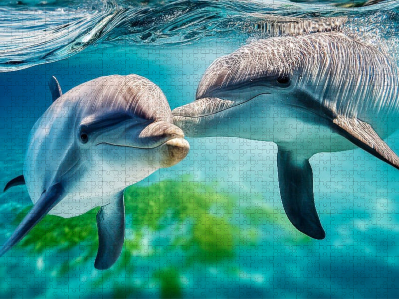 Was für ein Delfin-Leben - CALVENDO Foto-Puzzle'