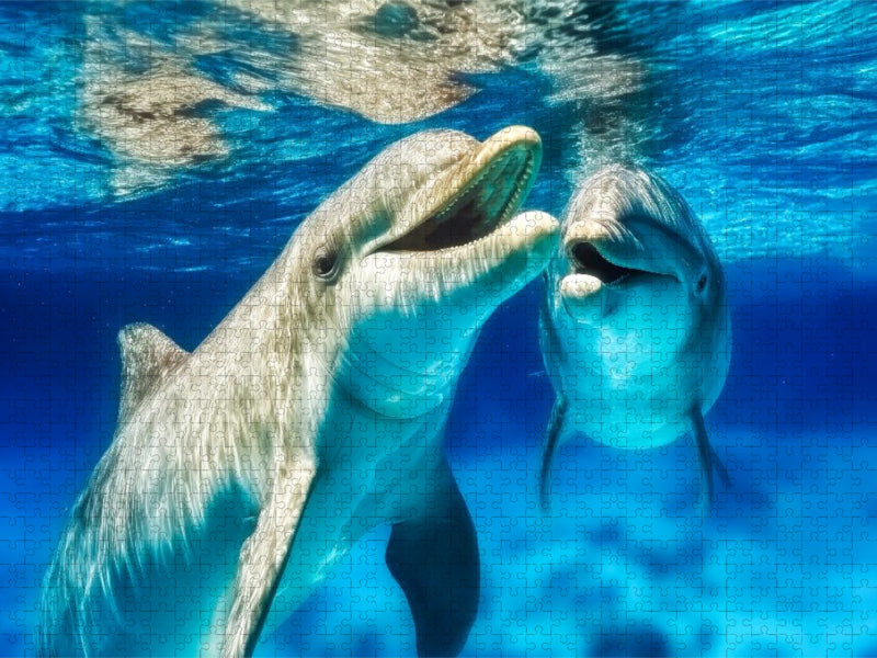 Hast du schon gehört ... - CALVENDO Foto-Puzzle'