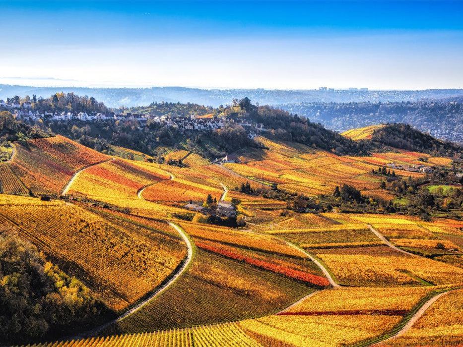 Herbstliches Panorama über die sanft eingebetteten Weinreben in Stuttgart Rotenberg - CALVENDO Foto-Puzzle'