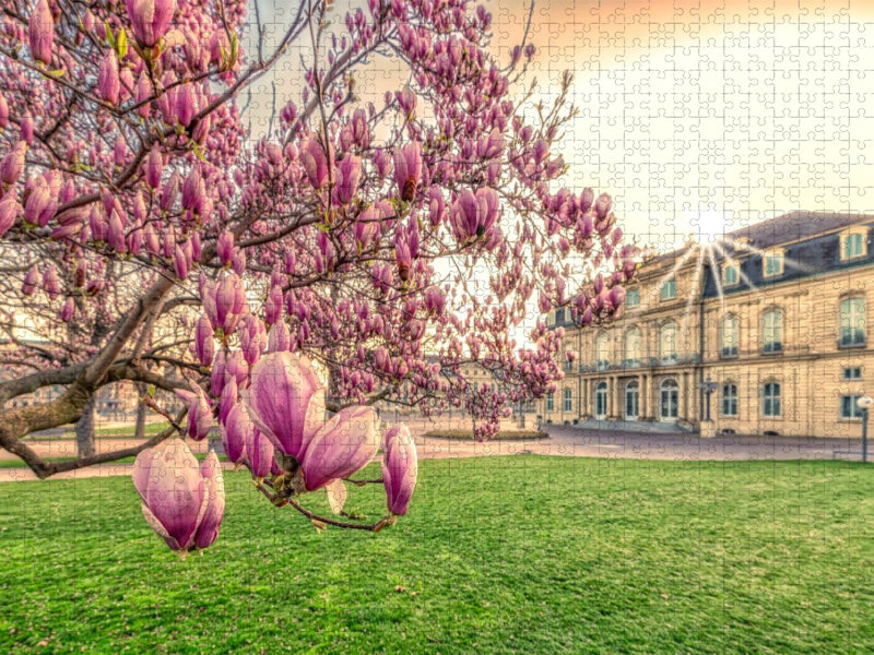 Magnolien Blüte auf dem Stuttgart Schlossplatz - CALVENDO Foto-Puzzle'