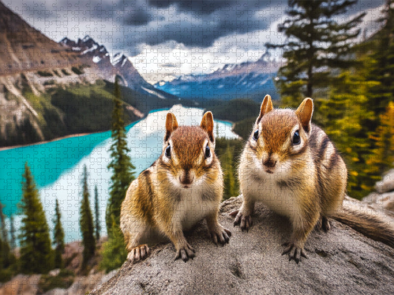 Pause mit Panorama - CALVENDO Foto-Puzzle'
