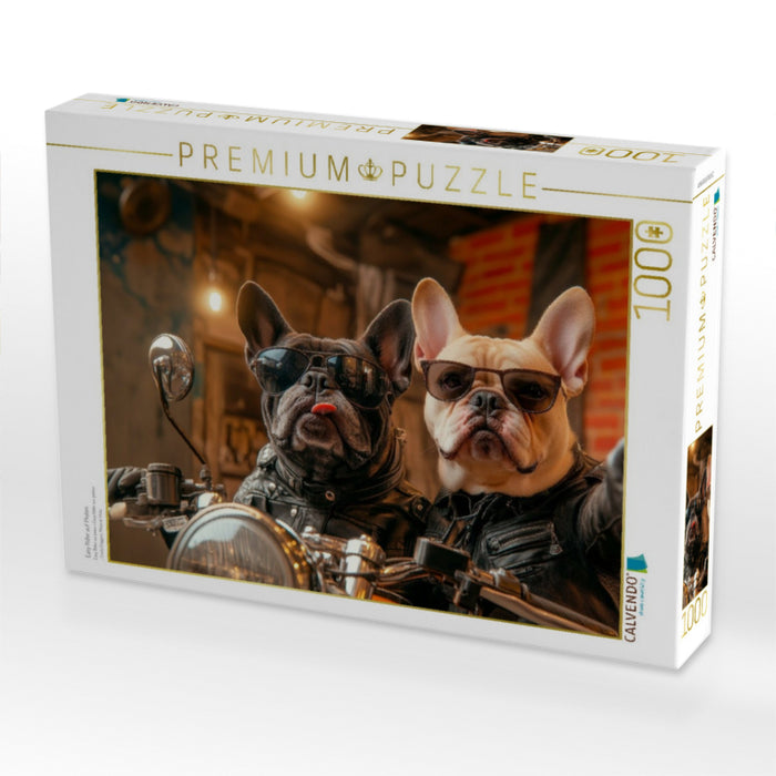 Easy Rider auf Pfoten - CALVENDO Foto-Puzzle'